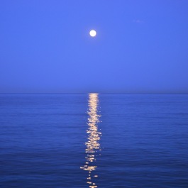 moon-sea